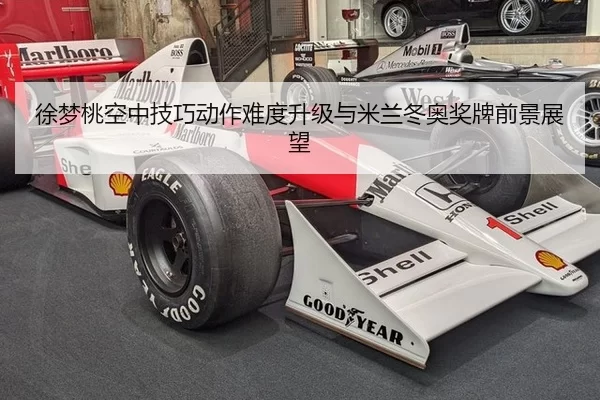 徐梦桃空中技巧动作难度升级与米兰冬奥奖牌前景展望